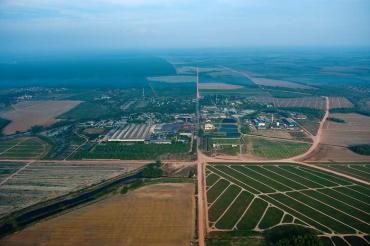 Great Giant Pineapple