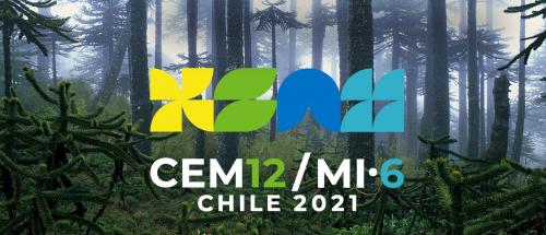 CEM 12
